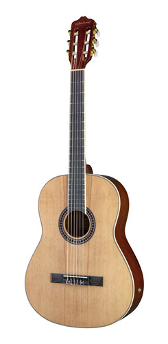 Guitarra Clasica Woodsoul S-sa 39 Eq