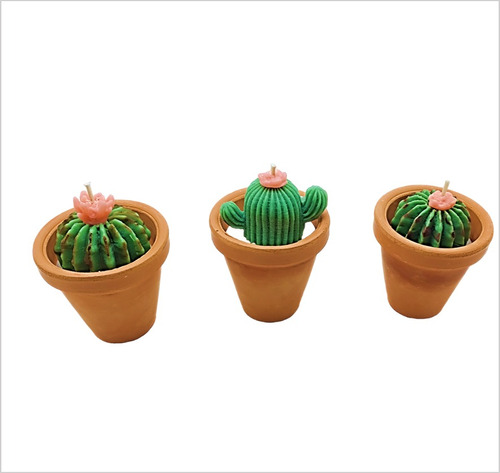 50 Velas Aromáticas Mini Macetas Medianas Cactus Suculentas 