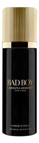 Bad Boy Spray Edt 100ml