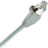 Cable Ethernet Ntw Cat6 Blindado De 50 Pies, Conector Rj45 C