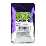 Semilla De Alfalfa Germinado Microgreens 1/4 Libra