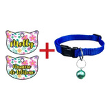 Placa Personalizada Para Gato + Collar,varios Modelos.