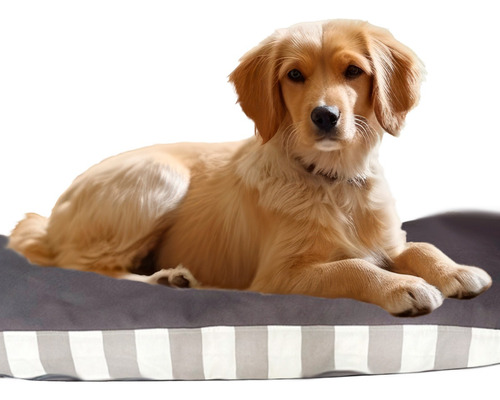 Cama Colchoneta Cucha Moises Para Perros O Gatos Practicas