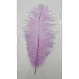 Pluma De Avestruz Selanusa Aop24lb 40-48cm Fiestas Lisa