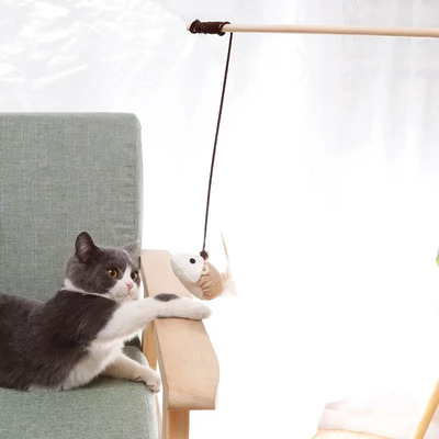 Divertida Varita De Madera Con Forma De Palo De Gato, Garra