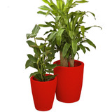 Jogo De Vaso 2 Tamanhos Polietileno Plantas Flores Cd60 Cor Vermelho