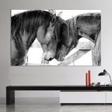 Cuadro Decorativo Animales Caballos Enamorados (80x50cm)