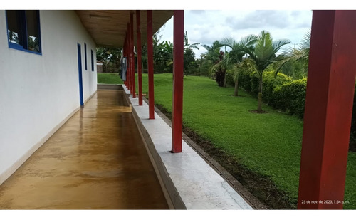 Venta Finca En Produccion Platano Y Aguacate Ulloa - Valle - Imagen 3