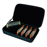 Kit 5 Gaitas Harmonicas Marine Band 1896/20 (cdega) - Hohner