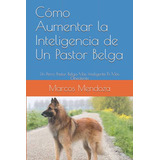 Como Aumentar La Inteligencia De Un Pastor Belga