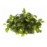 Nearly Natural 6708 Pothos Ledge Set On Foam Decorative