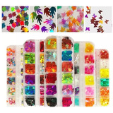 4 Kits Glitter Borboleta Encapsular Holográfica Forma 3d