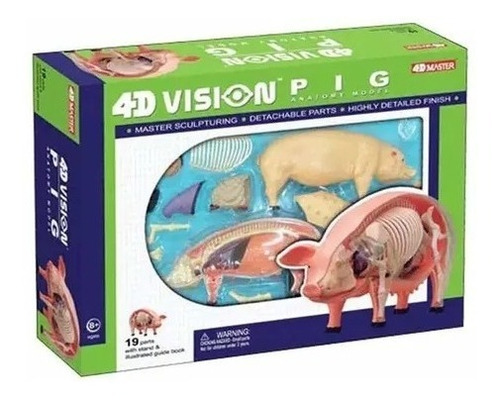 Modelo Anatomia Do Porco Suíno Anatômico Veterinária 