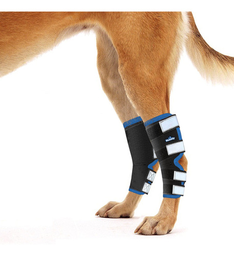 Par Abrazadera Pata Trasera Canina Proteje Lesiones Azul Xs