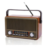 Radio Am/fm Dmyond Marron Portable, Usb, Aux, Bluetooth