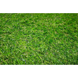 Pasto Sintetico Nature 35mm Uso Exterior Promocion