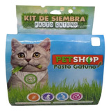 Pasto Gatuno 120 Gr Set Completo Hierba Gatos