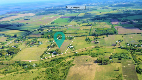 Venta - Chacra - Carmelo - Zona Juan Gonzalez - Imagen 3