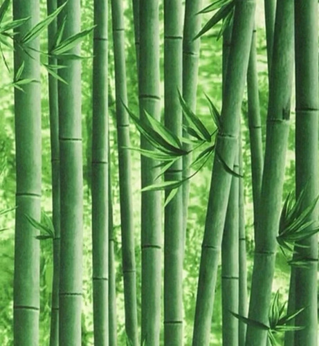 Papel Tapiz Autoadhesivo Diseño Bambú 1 Unidad 10mx60cm.