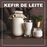 Kefir De Leite + Manual De Cuidados + Promoção Combo 02 Kefi