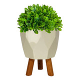 Mini Vaso Decorativo Pequeno Com Pezinhos Tripé Planta Fac2