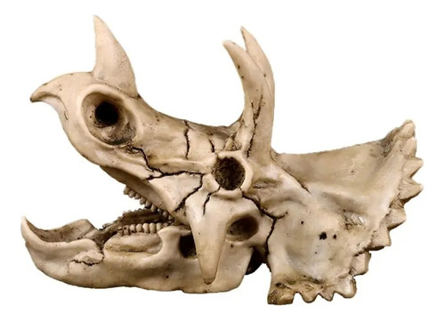 Modelo Cráneo Dinosaurio Triceratops Resina Fósil