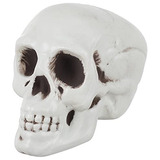 3 Piezas De Cabeza Humana Esqueleto Cráneo Figuras Escultura