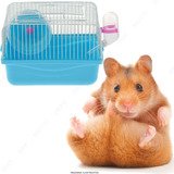 Gaiola Hamster Ratinho Ramister Super Promoção!