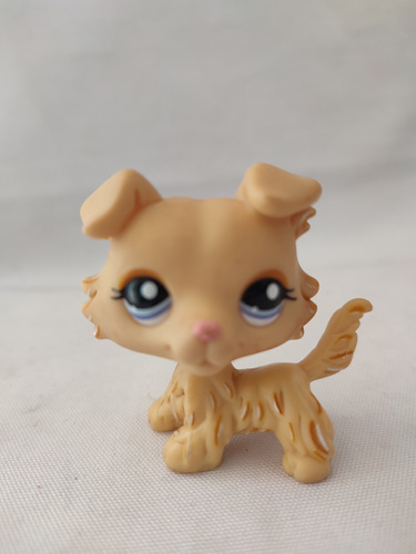 Collie Cafe Claro  Ojos Azules Littlest Pet Shop  Hasbro