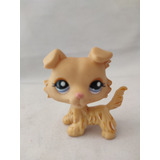 Collie Cafe Claro  Ojos Azules Littlest Pet Shop  Hasbro