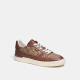 Tenis Coach Clp Sig Ct Snkr Saddle