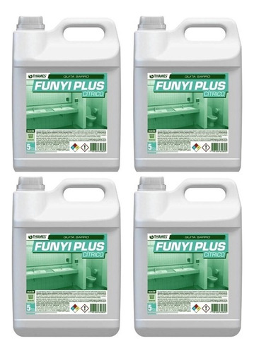 Desincrustante Anti Sarro Funyi Plus Citrico 5lts Thames X4