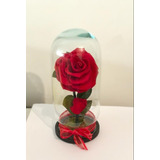 Rosa Eterna Premium ( Color ) Forever Bloom Color Rojo
