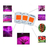 Kit 6 Chip's Led 50w Roxo Full Spectrum Cultivo Indoor Grow