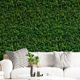 Papel De Parede Adesivo Samambaia Verde Muro Inglês 15m