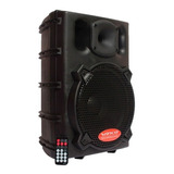 Parlante Activo Woofer Winco 10 Pulgadas 200w Rms Bluetooth