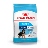 Alimento Perros Royal Canin Maxi Puppy 3 Kg Cachorros