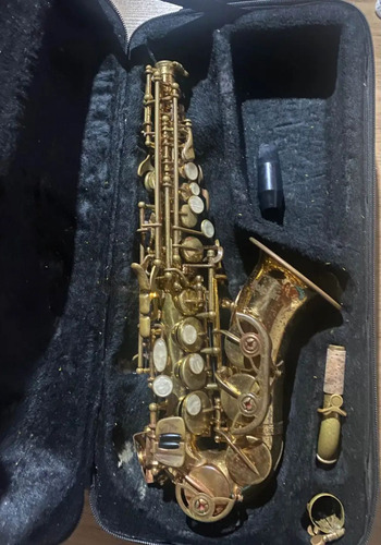 Sax Soprano Curvo Dolphin 