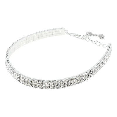 Collar La Etiqueta Del Perrito Del Animal Doméstico