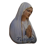 Iman O Cuadro Virgen De Fatima Rezando Magnetico (italy)