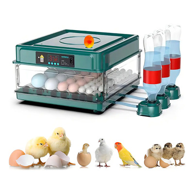 Incubadora Automática Huevos Yunjas 48 Capacidad LED Verde | Envío gratis