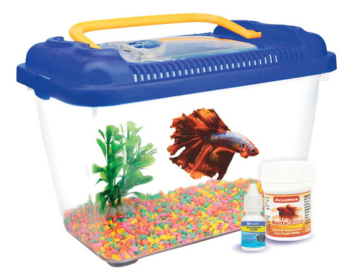 Mini Pecera Betta Box Kit Completo Acuario 1l Pez Betta