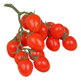 Frutos De Tomates Pequenos Simulados