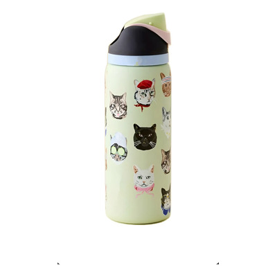 Dt. Termo Owala 32oz Gato Verde Claro