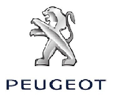 Radiador Peugeot Partner Citroen Berlingo Diesel 1.9 Konas Foto 3