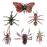 Set De Juguetes Educativos Realistas Para Insectos Para Que