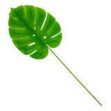 Planta Artificial Hoja Monstera Costilla De Adan Pack X10