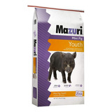 Mazuri Mini Pig Youth Alimento Para Mini Pig Joven 11.3 Kg