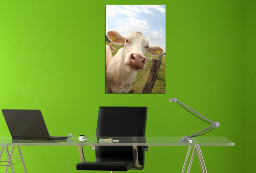 Vinilo Decorativo 60x90cm Vaca Animales Campo Pasto M7