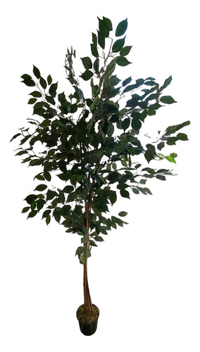 Ficus Planta Árbol Semi Artificial Con Maceta 190 Cms